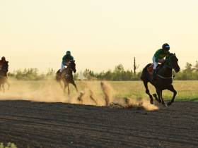 Определены победители конных скачек на приз главы Якутска