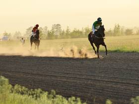 Определены победители конных скачек на приз главы Якутска
