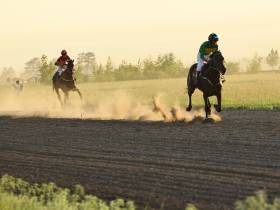 Определены победители конных скачек на приз главы Якутска