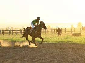 Определены победители конных скачек на приз главы Якутска