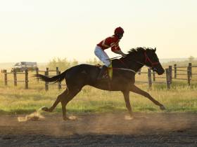 Определены победители конных скачек на приз главы Якутска