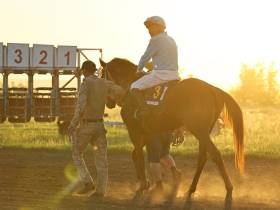 Определены победители конных скачек на приз главы Якутска