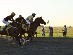 Определены победители конных скачек на приз главы Якутска