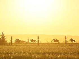 Определены победители конных скачек на приз главы Якутска