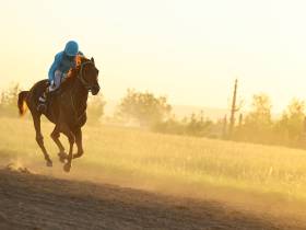 Определены победители конных скачек на приз главы Якутска