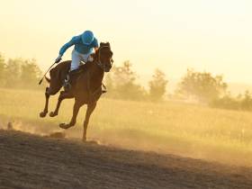Определены победители конных скачек на приз главы Якутска