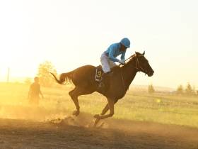 Определены победители конных скачек на приз главы Якутска