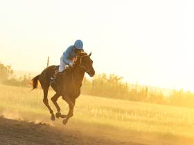 Определены победители конных скачек на приз главы Якутска