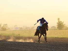 Определены победители конных скачек на приз главы Якутска