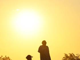 Определены победители конных скачек на приз главы Якутска