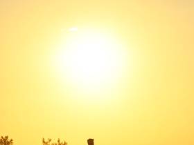 Определены победители конных скачек на приз главы Якутска