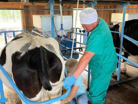 В Якутии определят лучшего дояра