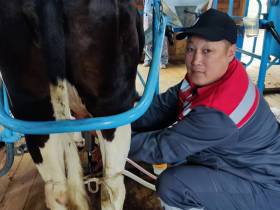 Лучшей дояркой Якутии стала работница кооператива «Крестях» Сунтарского улуса 