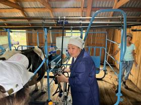 Лучшей дояркой Якутии стала работница кооператива «Крестях» Сунтарского улуса 