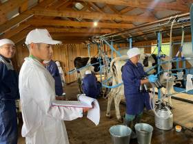 Лучшей дояркой Якутии стала работница кооператива «Крестях» Сунтарского улуса 