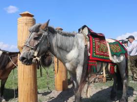 На Ысыахе Олонхо состоялся фестиваль конского убранства