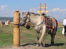 На Ысыахе Олонхо состоялся фестиваль конского убранства