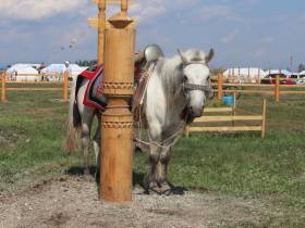 На Ысыахе Олонхо состоялся фестиваль конского убранства