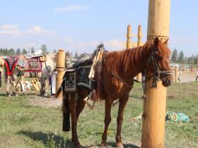 На Ысыахе Олонхо состоялся фестиваль конского убранства