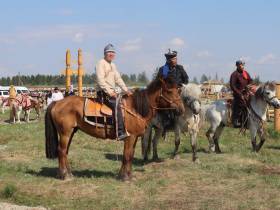 На Ысыахе Олонхо состоялся фестиваль конского убранства