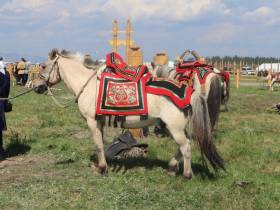 На Ысыахе Олонхо состоялся фестиваль конского убранства