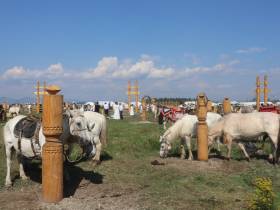 На Ысыахе Олонхо состоялся фестиваль конского убранства