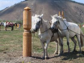 На Ысыахе Олонхо состоялся фестиваль конского убранства