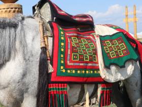 На Ысыахе Олонхо состоялся фестиваль конского убранства