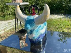 В Якутске открылась арт-инсталляция под открытым небом «Другие миры»