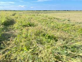 В Якутии главам районов поставлена задача максимального освоения сенокосных угодий