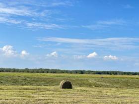 В Якутии главам районов поставлена задача максимального освоения сенокосных угодий