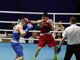 На турнире Федотова разыграли 12 путевок на чемпионат России по боксу