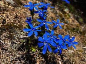 Работники «Якутской рудной компании» организовали подъём на одну из самых высоких точек Южной Якутии