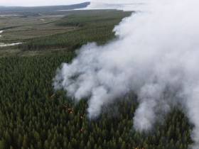 Несколько очагов возгораний потушили на крупном лесном пожаре в Среднеколымском районе