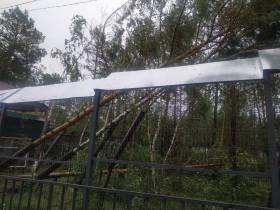 В Якутии от урагана пострадал зоопарк «Орто Дойду»