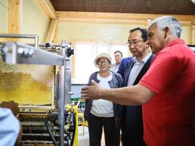 Хозяйство якутян Ионовых планирует стать племенным репродуктором республики по пчеловодству