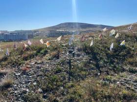 Новый арт-объект появится в поселке Мохсоголлох Хангаласского района