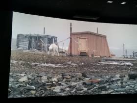 Погоня со штормом и встреча с белыми медведями: как проходила опасная экспедиция на остров Беннетта