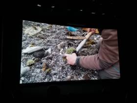 Погоня со штормом и встреча с белыми медведями: как проходила опасная экспедиция на остров Беннетта