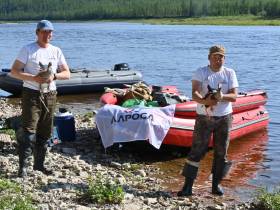 В защиту животных: АЛРОСА помогает сохранить редкий вид птиц