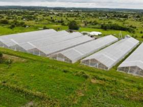 «Полиметалл» намерен продолжить восстанавливать лес в Якутии