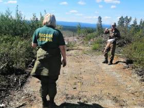 «Полиметалл» намерен продолжить восстанавливать лес в Якутии