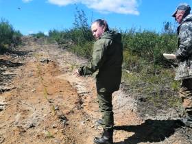 «Полиметалл» намерен продолжить восстанавливать лес в Якутии