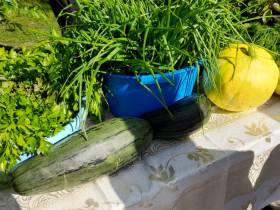 В Алдане состоялась ярмарка урожая