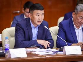 Сенаторы обсудили план исполнения постановления Совета Федерации о развитии Якутии