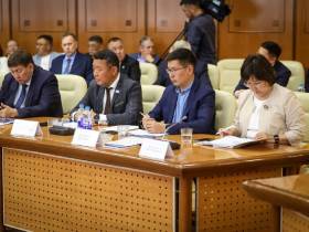 Сенаторы обсудили план исполнения постановления Совета Федерации о развитии Якутии