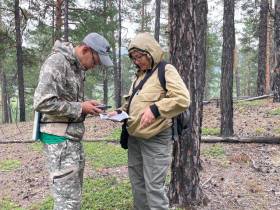 Помочь лесу: АЛРОСА и якутские ученые изучают причины и последствия лесных пожаров