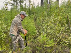 Помочь лесу: АЛРОСА и якутские ученые изучают причины и последствия лесных пожаров