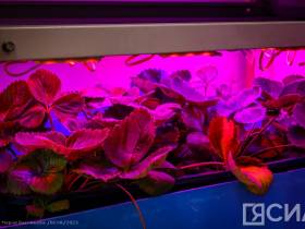 «Школа будущего»: в Саха политехническом лицее открылся технопарк «Кванториум»