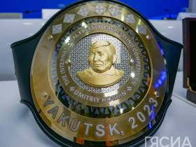 В международном турнире памяти Дмитрия Коркина примут участие спортсмены из 15 стран